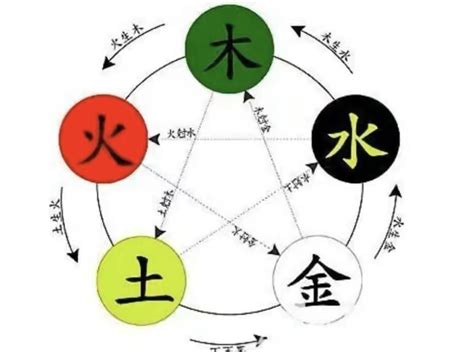 樺 五行|桦字的五行属性